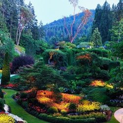 botanicheskiyparkbatumi_1-min